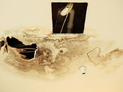 Professional water damage restoration services in Reno - HavenPrime